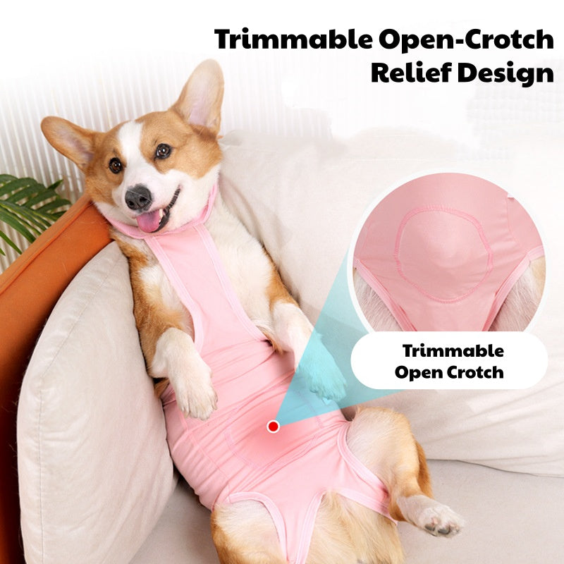 Straight-Tie Dog Recovery Suit - Breathable Post-Surgery Anti-Lick Onesie, Stretch Neuter/Spay Surgical Bodysuit