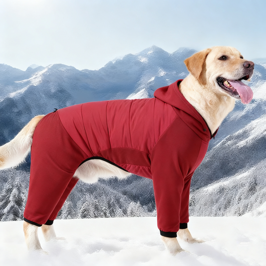 Dog Winter Coat - Windproof Waterproof Thick Cotton, Full-Body Jumpsuit M/L/XL