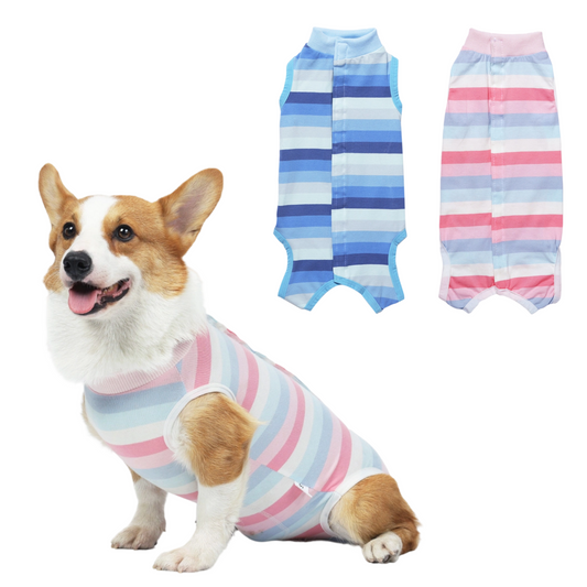 Small Dog Recovery Suit - Elastic Snap Closure, Anti-Lick Spay Surgery Onesie Pet Outfit