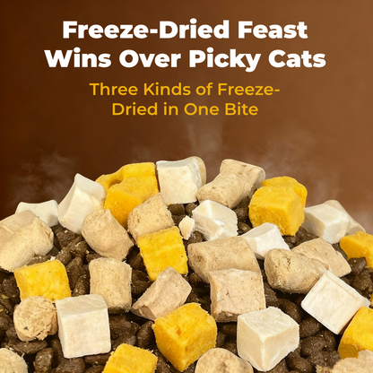 Freeze-Dried Cat Food - Wholesale Grain-Free, 3.3-44lbs Complete for All Life Stages
