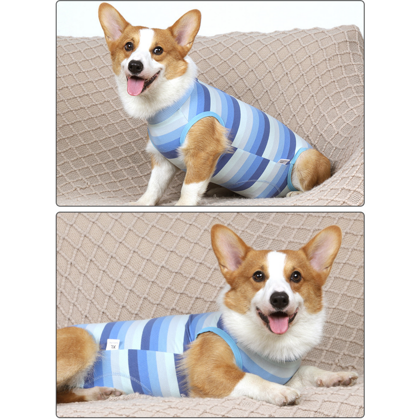 Small Dog Recovery Suit - Elastic Snap Closure, Anti-Lick Spay Surgery Onesie Pet Outfit