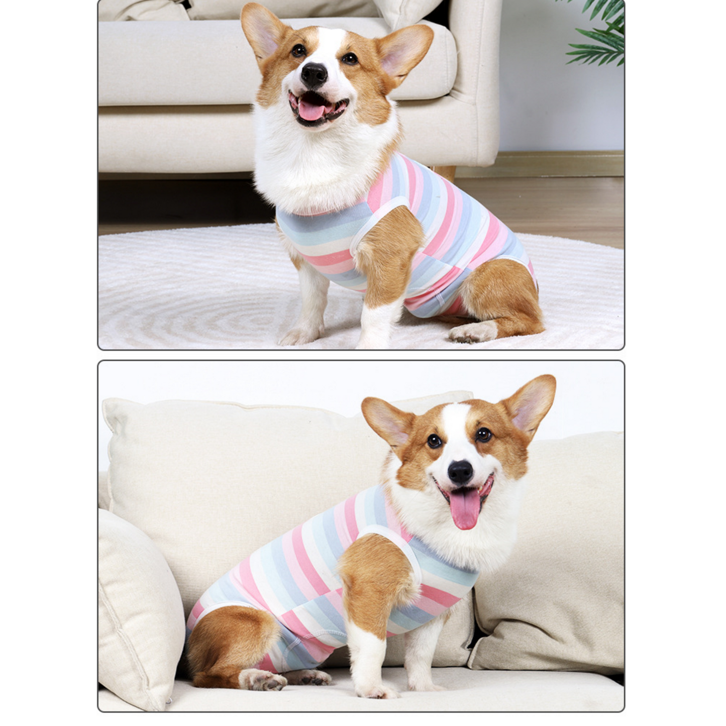 Small Dog Recovery Suit - Elastic Snap Closure, Anti-Lick Spay Surgery Onesie Pet Outfit