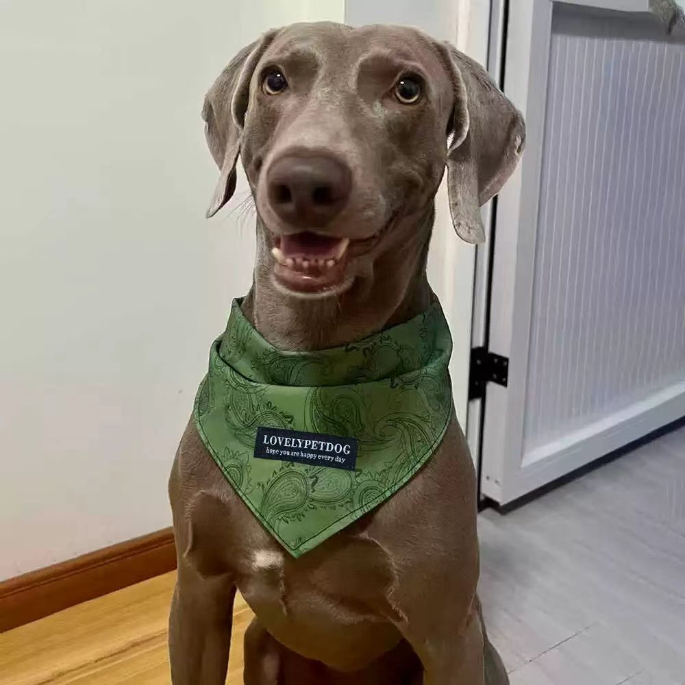 Pet Bandanas - Stylish Triangle Bib Scarf, Photo Prop Kerchief for Large Dogs Labrador & Daily Wear