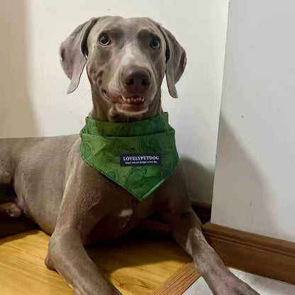 Pet Bandanas - Stylish Triangle Bib Scarf, Photo Prop Kerchief for Large Dogs Labrador & Daily Wear
