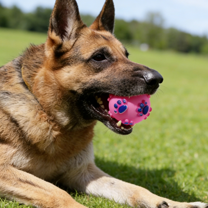 Miaow & Meow | Non-toxic,Teeth cleaning Dura-Vinyl Squeak Ball