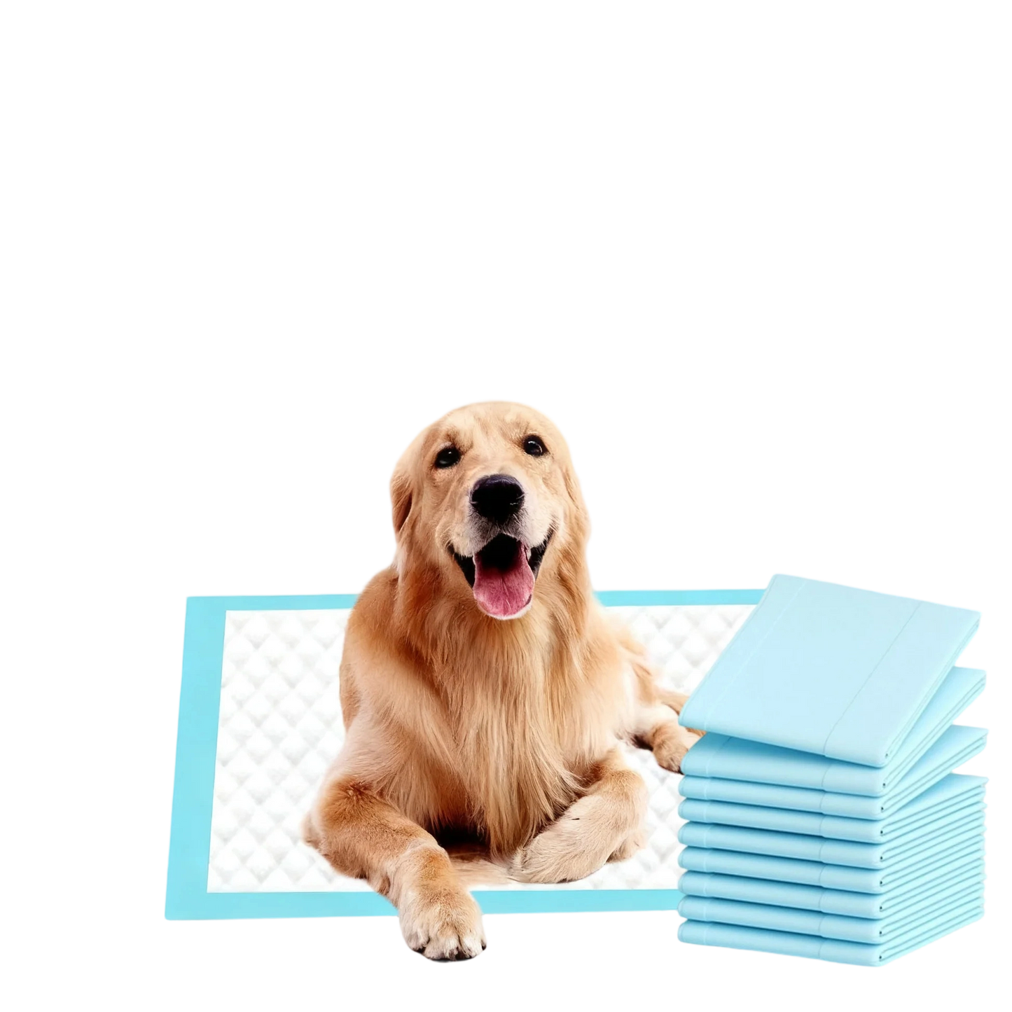 Dog Pee Pads - 5-Layer Leak-Proof, S 18x13" for Puppy Potty Training