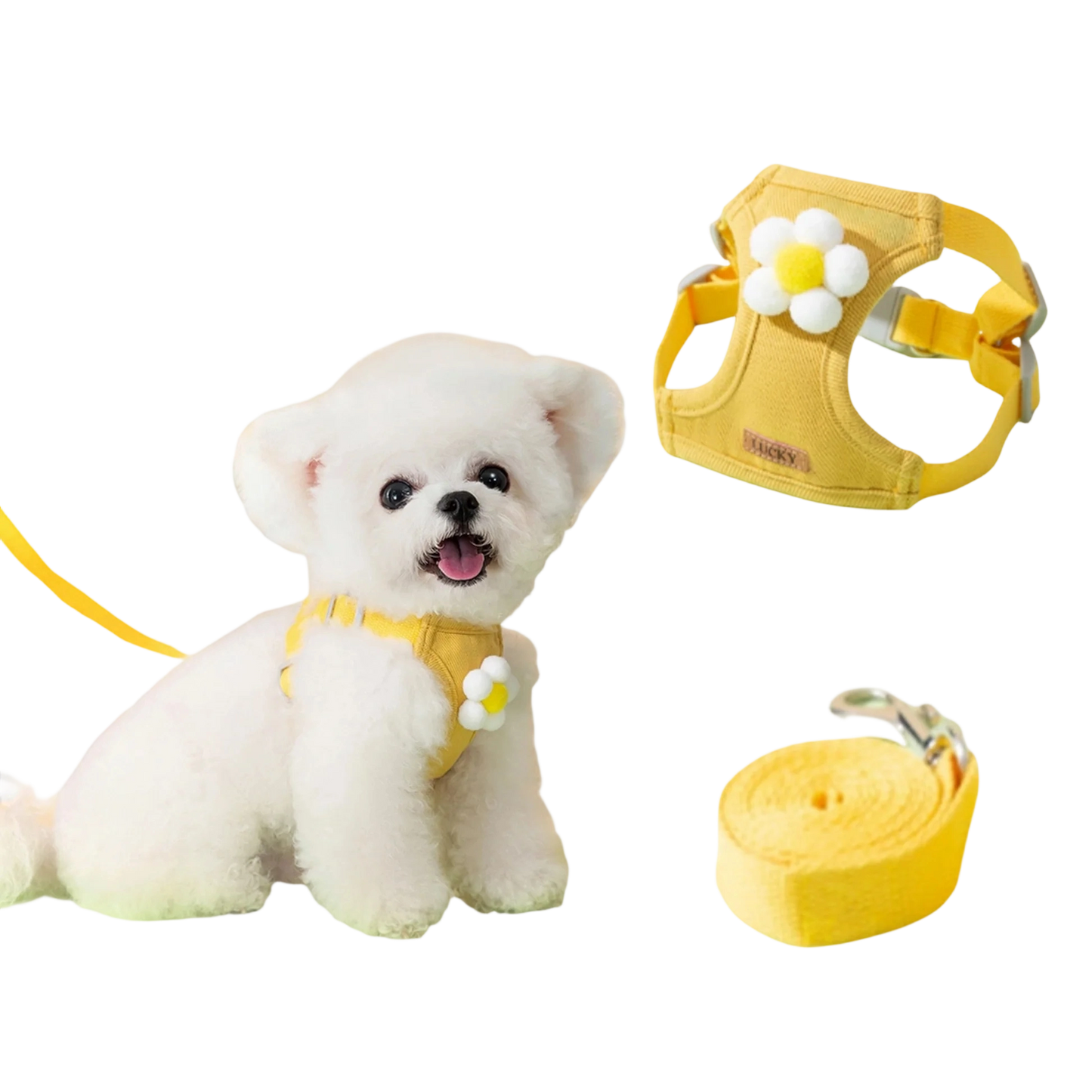 No Pull Dog Harness with Multi function Dog Leash - 3D Cartoon, Soft Adjustable No-Choke for Extra-Small/Small Medium Dogs