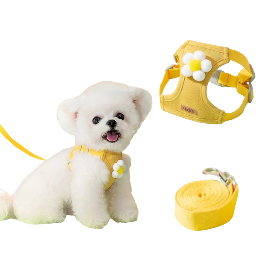 No Pull Dog Harness with Multi function Dog Leash - 3D Cartoon, Soft Adjustable No-Choke for Extra-Small/Small Medium Dogs