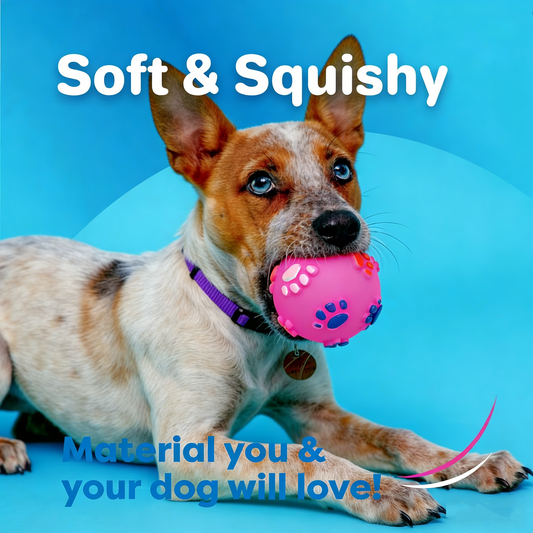 Miaow & Meow Dura-Vinyl Squeak Ball: 2.36” Interactive Paw Toy for All Pets