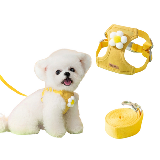 No Pull Dog Harness with Multi function Dog Leash - 3D Cartoon, Soft Adjustable No-Choke for Extra-Small/Small Medium Dogs