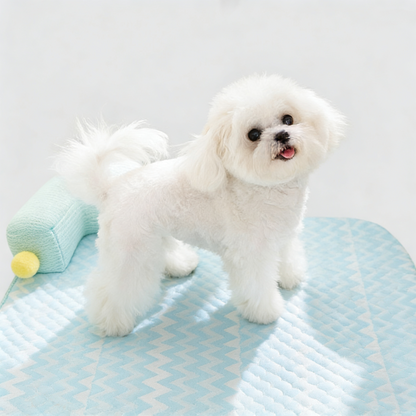All-Season Ice Fabric Pet Pads with Cushioned Pillow, Quick-Drying, Reusable