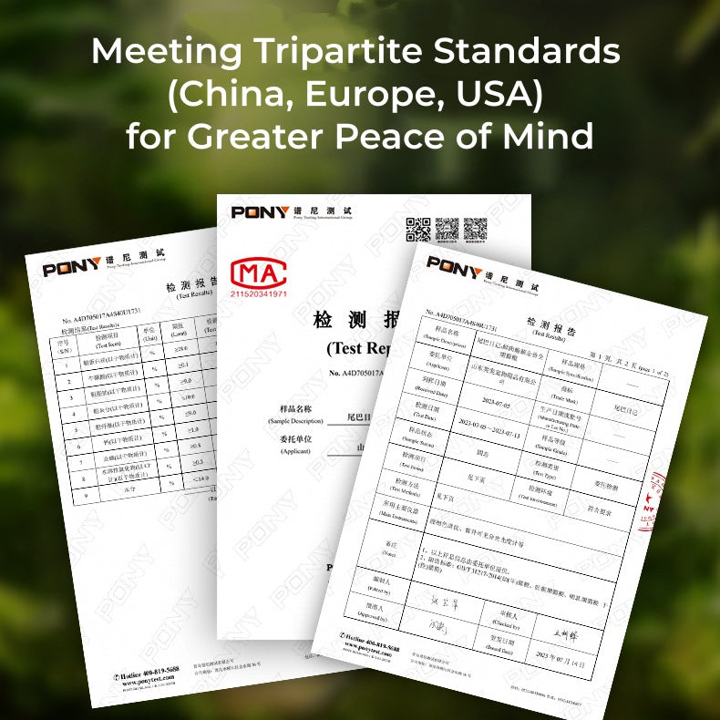 Freeze-Dried Cat Food - Wholesale Grain-Free, 3.3-44lbs Complete for All Life Stages