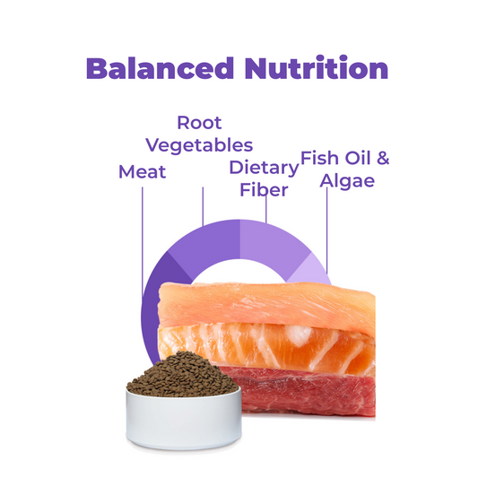 Wholesale Freeze-Dried Cat Food - Grain-Free, Hypoallergenic & Easy to Digest, All Life Stages (3.3-44lbs)