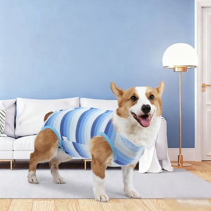 Small Dog Recovery Suit - Elastic Snap Closure, Anti-Lick Spay Surgery Onesie Pet Outfit