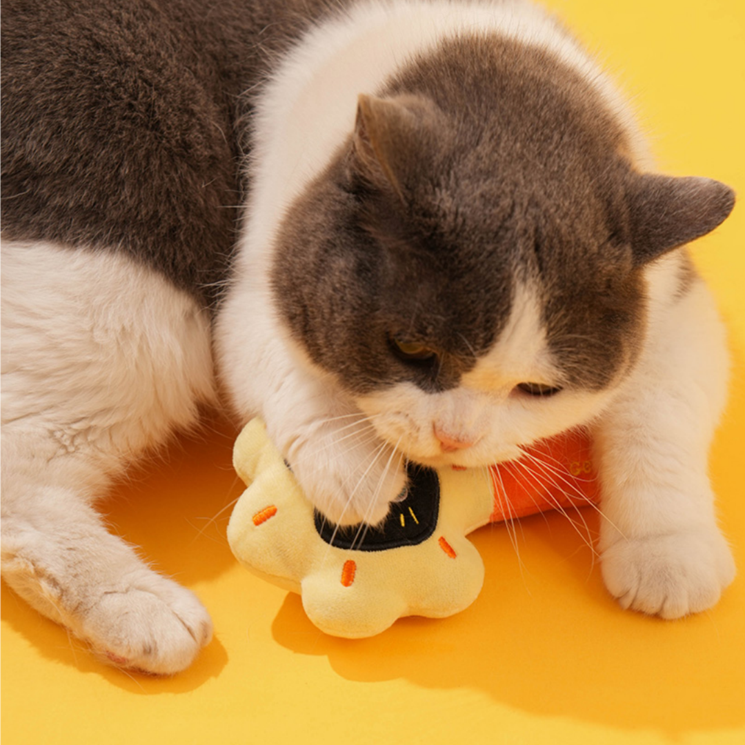 6.3'' Plush Rattle Cat Toy - Catnip Bell Pet Toy, Sun-Shaped Self-Play Boredom Buster for Cats