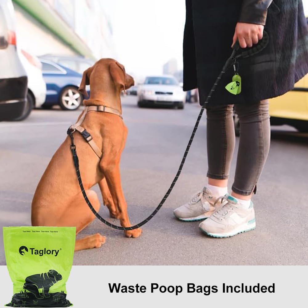 Rope Dog Leash 4-10 FT with Comfortable Padded Handle, Highly Reflective Threads Leash for Medium Large Dogs, 8 Colors