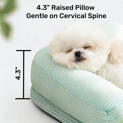 All-Season Ice Fabric Pet Pads with Cushioned Pillow, Quick-Drying, Reusable