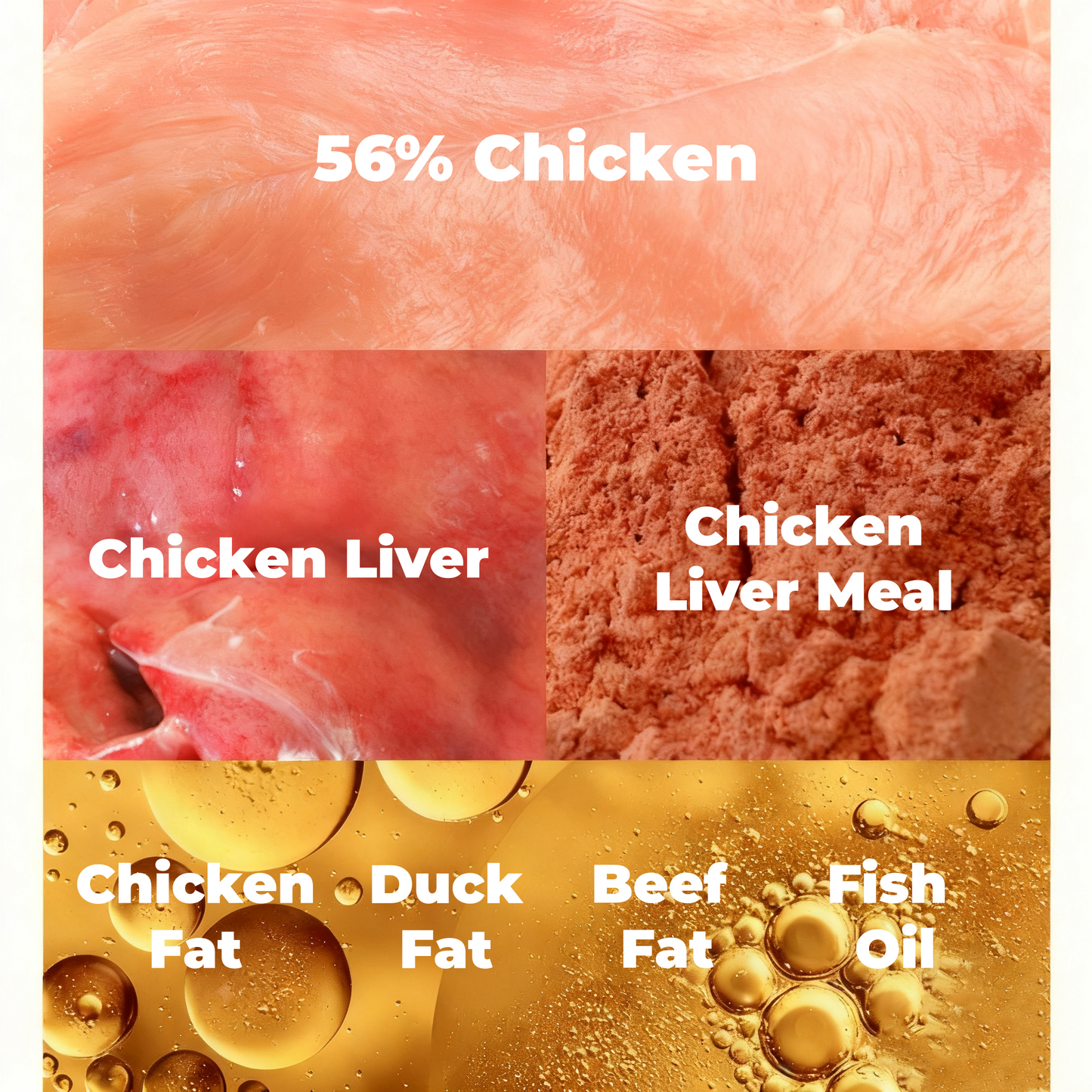 Wholesale Freeze-Dried Cat Food - Grain-Free, Hypoallergenic & Easy to Digest, All Life Stages (3.3-44lbs)