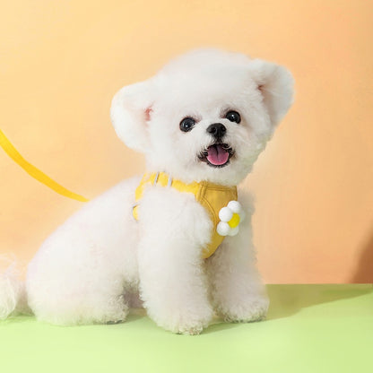 No Pull Dog Harness with Multi function Dog Leash - 3D Cartoon, Soft Adjustable No-Choke for Extra-Small/Small Medium Dogs