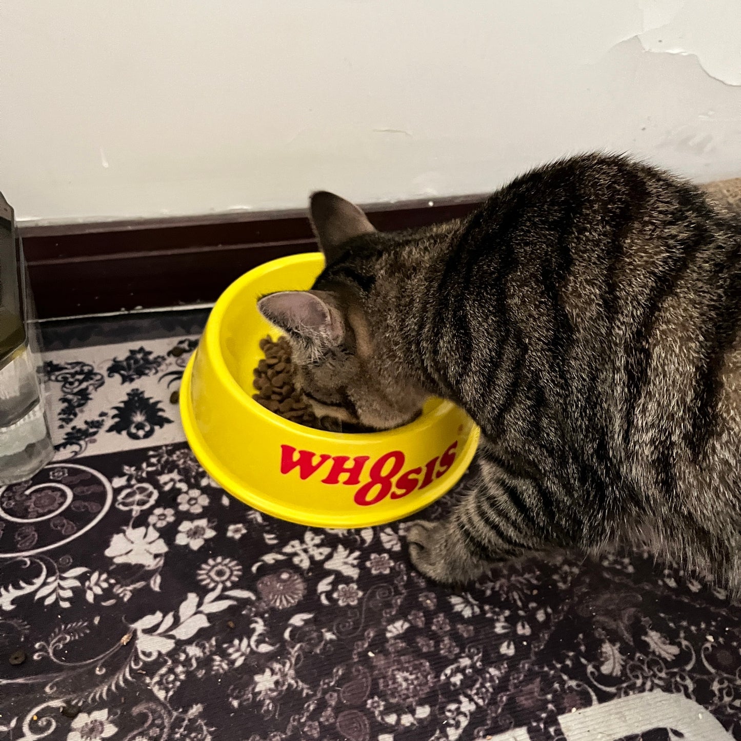 Yellow Pet Bowl - 12.6oz Non-Slip Shatterproof, Bite-Resistant for Dogs & Cats