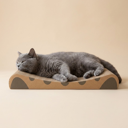 Miaow & Meow | Curved Cat Scratcher Pad | Corrugated Cardboard Neck Support Cat Scratching Board | Thick Non Shedding Cat Scratch Lounge Bed | Kitty Grinding Claw Toy for Indoor Cats